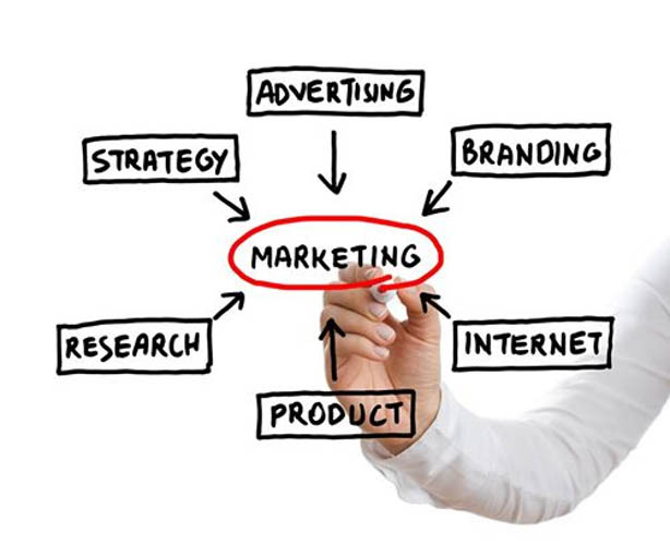 plan de marketing 1