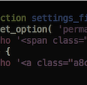 developer