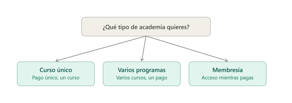 esquema tipos de academia online