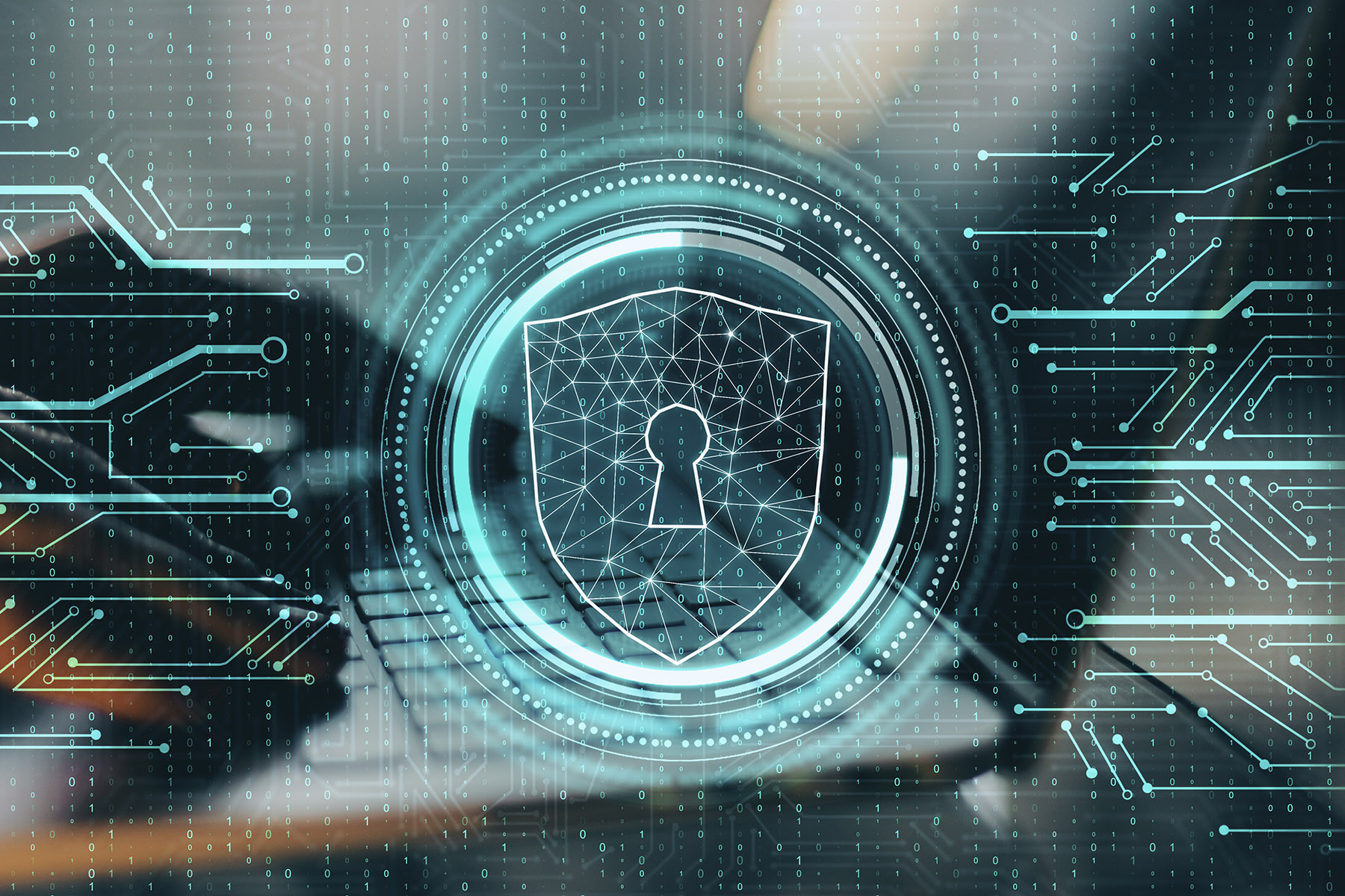 seguridad academias online wordp